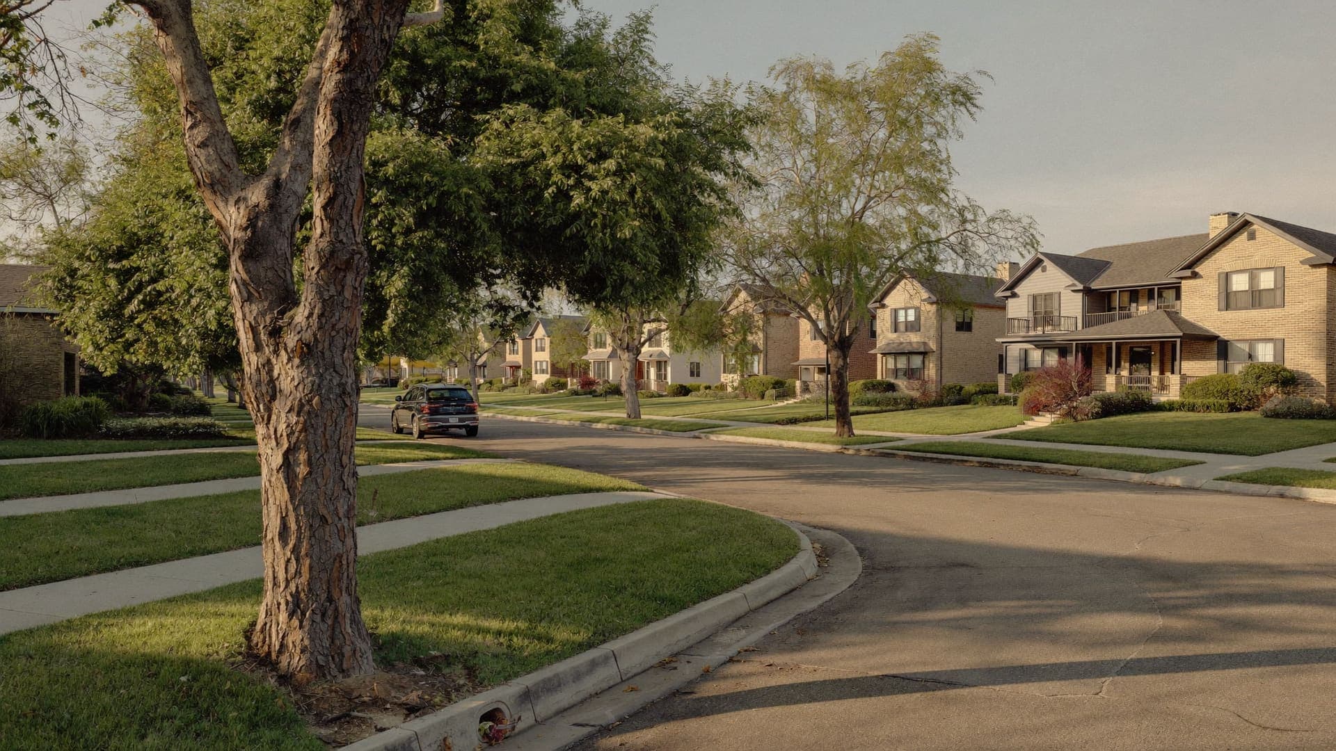 Suburban neighborhood street in North Texas